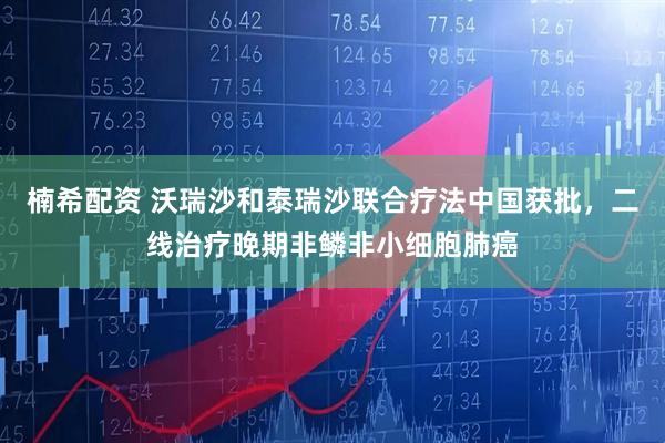 楠希配资 沃瑞沙和泰瑞沙联合疗法中国获批，二线治疗晚期非鳞非小细胞肺癌