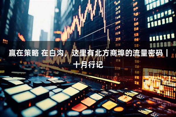 赢在策略 在白沟，这里有北方商埠的流量密码｜十月行记
