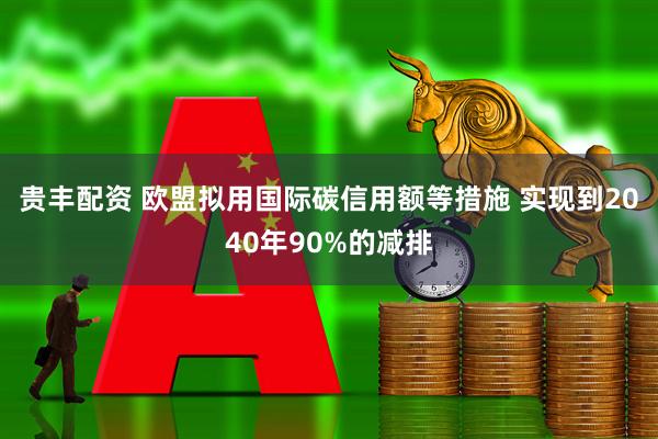 贵丰配资 欧盟拟用国际碳信用额等措施 实现到2040年90%的减排