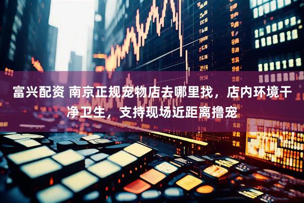 富兴配资 南京正规宠物店去哪里找，店内环境干净卫生，支持现场近距离撸宠