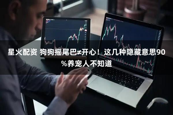 星火配资 狗狗摇尾巴≠开心！这几种隐藏意思90%养宠人不知道