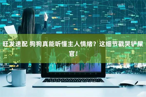 旺发速配 狗狗真能听懂主人情绪？这细节戳哭铲屎官！